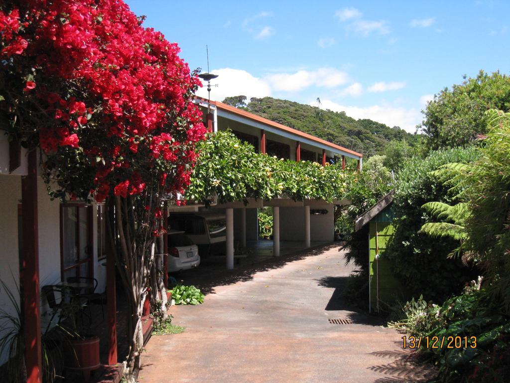 Alfa Boutique Motel Paihia Extérieur photo